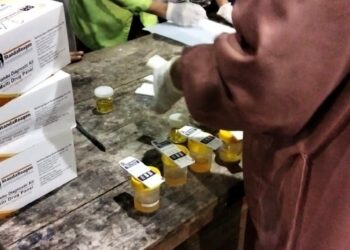 Syarat Menerima Gaji, Anggota Satpol PP Sulsel Wajib Tes Urine