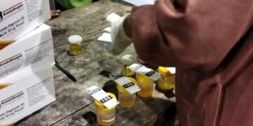 Syarat Menerima Gaji, Anggota Satpol PP Sulsel Wajib Tes Urine