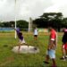 Atlet disabilitas Paralympic Pinrang latihan jelang persiapan Peparprov di Makassar.