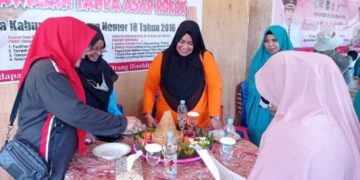 Jadi Penilai Lomba Menu Gizi Seimbang HKN ke-58, Ketua TP PKK Sidrap: Selain Enak, Gizinya juga Dapat