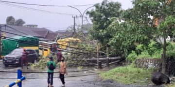 Pohon Tumbang, Tembok SMPN 5 Parepare dan Tiang Telkom Ikut Roboh