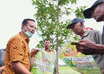 Berkat Benih Mandiri, BPS Rilis Produksi Padi Sulsel Naik 250.384 Ton
