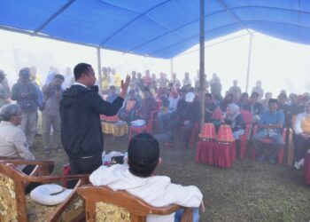 Gubernur Sulsel Serahkan 25 Ribu Batang Bibit Kopi Bagi Warga Topidi