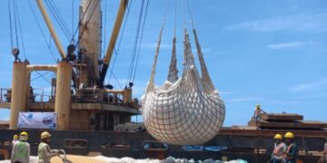 Perdana di 2023, 6.150 Jagung Sulsel Senilai Rp 30,43 M Diekspor ke Filipina