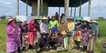 PAUD Negeri Percontohan Sidrap Gelar Field Trip di Persawahan
