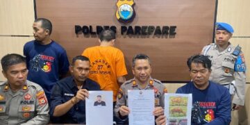 Iri, Warga Parepare Ini Nekat Curi 2 Ekor Sapi