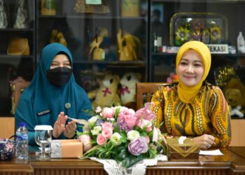 Adopsi Program Inovasi PKK, Ketua Tim Penggerak PKK Sulsel Kunker ke Bandung