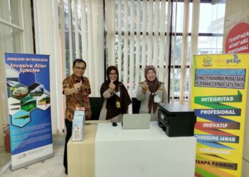 Mulai 12 Januari, Mal Pelayanan Publik Provinsi Sulsel Kini Tambah 5 Layanan Baru