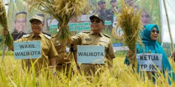 Panen Padi Perdana, Walikota Parepare Ajak Jajaran Jangan Tiba Masa Tiba Akal