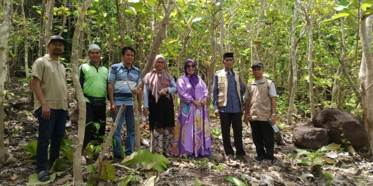 Pengurus ICMI Kota Parepare meninjau lokasi tanah wakaf di Bacukiki Barat, belum lama ini