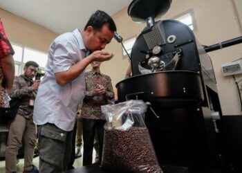 Gubernur Sulsel, Andi Sudirman Sulaiman mengecek aroma Kopi Solaku produksi Kelompok Usaha Abe Setia di Luwu