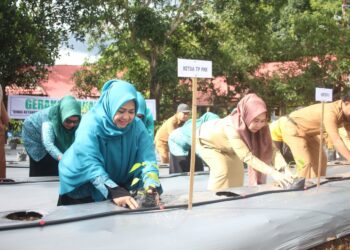 Erna Rasyid Taufan Apresiasi Gerakan Tanam Cabai Serentak