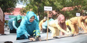 Erna Rasyid Taufan Apresiasi Gerakan Tanam Cabai Serentak