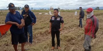 Legislator NasDem Sidrap H.Bahrul Appas Harap Pihak Terkait Rajin Pantau Harga Gabah Petani