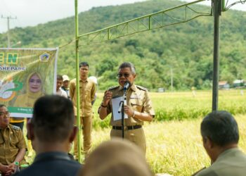 Kereta Api Rute Makassar-Parepare Beroperasi Bulan Ini, Taufan Pawe Sebut Akan Geliatkan Ekonomi Sulsel