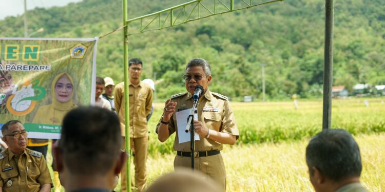 Wali Kota Parepare Dr HM Taufan Pawe menyambut positif segera beroperasinya kereta api rute Makassar-Parepare pada Maret 2023