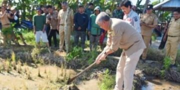 Hadiri Mappalili di Watang Sawitto, Bupati Pinrang Ingatkan Soal Iklim ke Petani