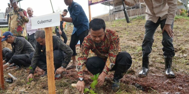 Gubernur Sulawesi-Selatan Andi Sudirman Sulaiman melakukan penanaman  1 juta bibit murbei secara simbolis di Desa Ujung, Kecamatan Tanasitolo, Kabupaten Wajo, Kamis (4/5/2023)