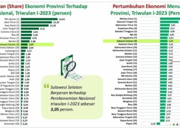 UMKM Faktor Pendongkrak Ekonomi Sulsel Tumbuh 5,29 Persen