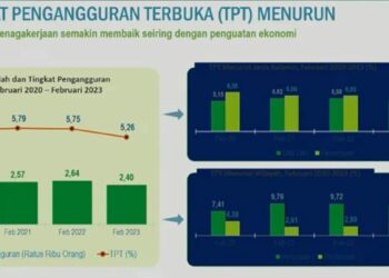 Tren Pengangguran di Sulsel Mengalami Penurunan