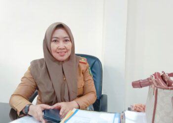 Tidak Ada Rekrutmen CPNS, Pemkot Parepare Usulkan Ratusan Kuota PPPK