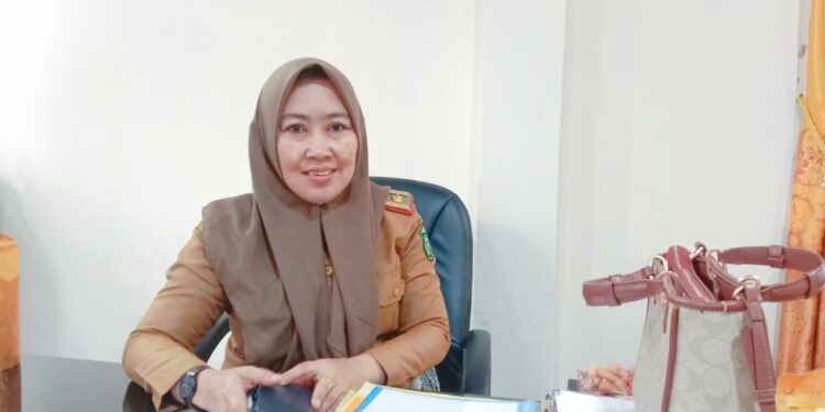Kepala BKPSDMD Kota Parepare, Adriani Idrus
