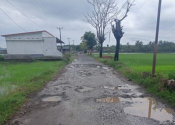 OPINI: Pemanfaatan Potensi Pembangunan Wisata untuk Sinjai Lebih Maju