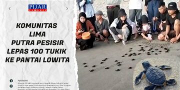 Komunitas Lima Putra Pesisir Lepas 100 Tukik ke Pantai Lowita
