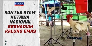 Kontes Ayam Ketawa Nasional Berhadiah Kalung Emas