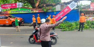 Pohon Tumbang Rugikan Warga Rp30 Juta di Parepare