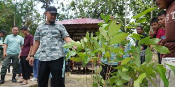 Gubernur Andi Sudirmann Ajak Masyarakat Menanam Pohon Produktif