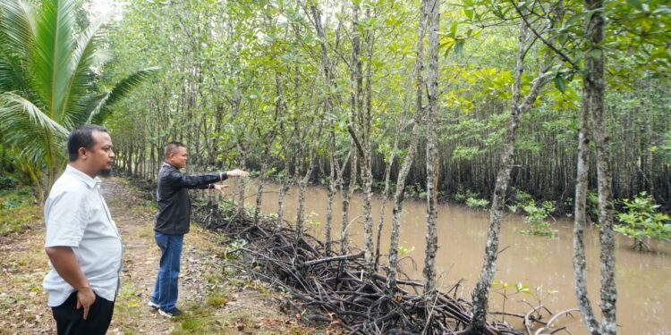 - Gubernur Sulsel Andi Sudirman Sulaiman melakukan diskusi terkait Carbon Trading dengan mengunjungi hutan mangrove sekaligus menanam bibit mangrove di daerah Bintan bersama sejumlah kepala Organisasi Perangkat Daerah (OPD) di Tanjung Pinang, Provinsi Kepualuan Riau, Jumat (25/8/2023)