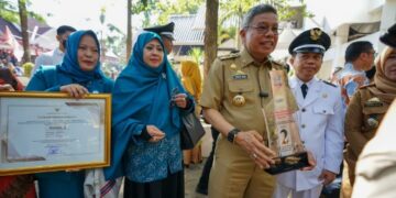 Jelang Akhiri Masa Jabatan, Taufan Pawe Raih 2 Penghargaan