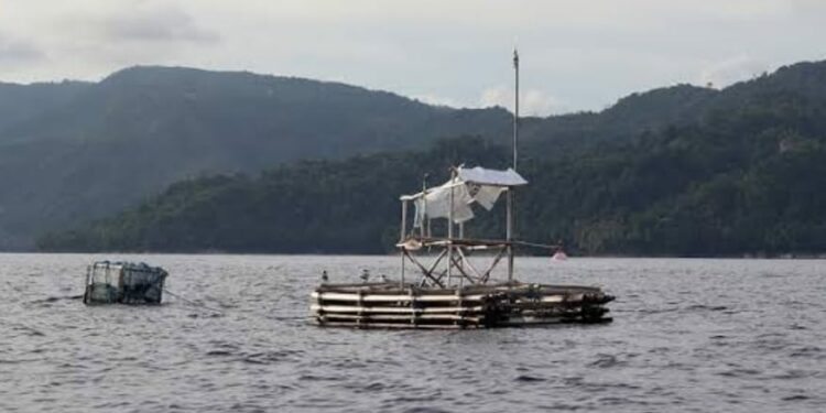 Salah satu model rumpon atau rumah ikan (Foto: int)