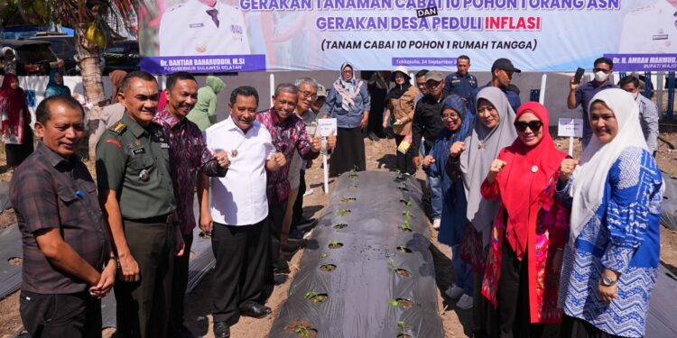 Gerakan Tanaman Cabai 10 Pohon 1 Orang ASN dan Non ASN di Kecamatan Takkalalla, Kabupaten Wajo pada 24 September 2023 lalu