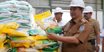 Pj Gubernur Sulsel Tinjau Gudang Beras Bulog, Stok Cukup Hingga Akhir Tahun