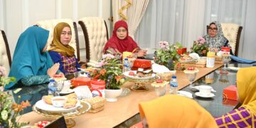 Program yang Belum Terlaksana, Sofha Marwah Tekankan Pokja Bunda PAUD Bersinergi dengan OPD