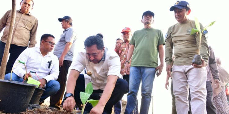 Penjabat Gubernur Provinsi Sulawesi Selatan (Sulsel), Bahtiar Baharuddin, membuktikan keseriusannya melakukan budidaya pisang dengan melakukan penanaman perdana di atas lahan seluas puluhan hektare, di Kecamatan Mare, Kabupaten Bone, Sabtu (7/10/2023)