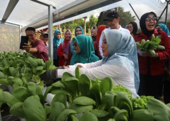 Pj Ketua TP PKK Sulsel, Sofha Marwah Bahtiar melakukan kunjungan kerja ke Kabupaten Luwu Timur, Sabtu, (4/11/2023). (Sumber Foto: