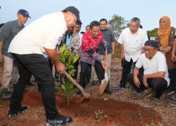 Bupati Bulukumba, Andi Muchtar Ali Yusuf dan Pj Gubernur Sulsel, Bahtiar Baharuddin melakukan penanaman bibit nangka madu, Selasa, (24/11/2023).
