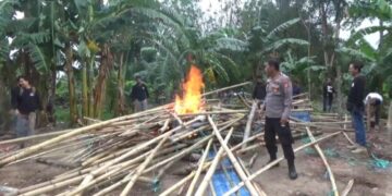 Bakar Lokasi Judi Sabung Ayam, Kasatreskrim Polres Pinrang Bakal Panggil Kades dan Pemilik Tanah