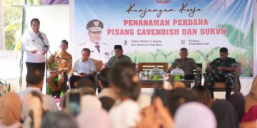 Petani Desa Mattiro Walie Diajak Tingkatkan Kesejahteraan dengan Budidaya Pisang, Sukun dan Nangka  Madu