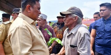Petani Lutim Terharu Terima Bibit Pisang Cavendish