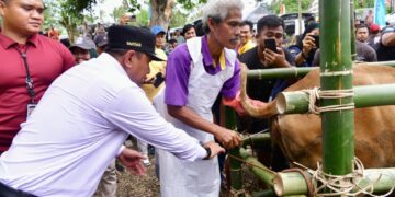 Pj Gubernur Sulsel Salurkan Rp2 M Bantuan untuk Sektor Peternakan