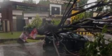 Cuaca Ekstrem, Sejumlah Pohon Tumbang di Makassar, Sebabkan Macet Hingga Timpa Mobil