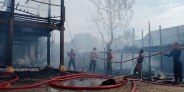 Diduga Berawal Dari Masakan, Dua Rumah Panggung di Pinrang Ludes Terbakar, Binatang Ini Selamat