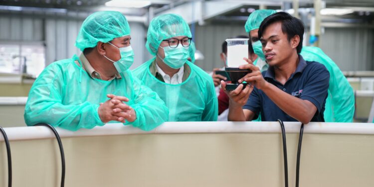 Pemprov Sulsel dan PT Bomar mengembangkan benur udang untuk warga pesisir.