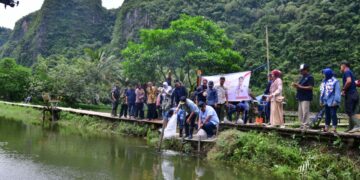 Pj Gubernur Sulsel, Bahtiar Baharuddin menebar benih ikan nila di kolam ikan kawasan wisata Rammang-rammang, (Sabtu, 16/3/2024). (Foto; Humas Pemprov Sulsel)