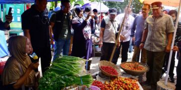 Stok Beras Sulsel Aman hingga Juli 2024