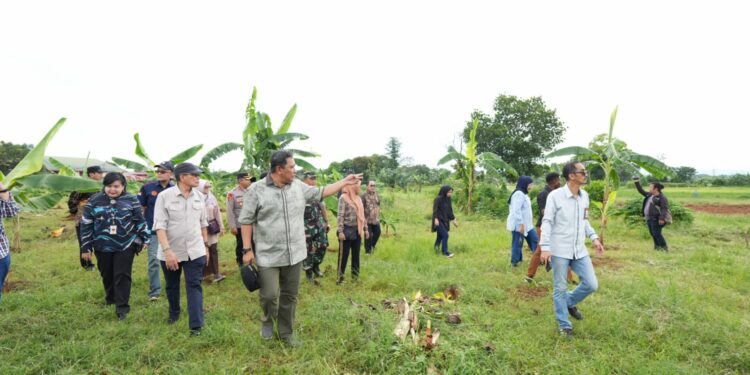 Penjabat Gubernur Sulsel, Bahtiar Baharuddin bersama sekda Kabupaten Gowa dan Dandim mengecek lahan cavendish di Tamarunang, Gowa, Selasa, (12/3/ 2024). (Foto: Humas Pemprov Sulsel)